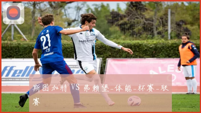 斯图加特 VS 弗赖堡_体能_杯赛_联赛