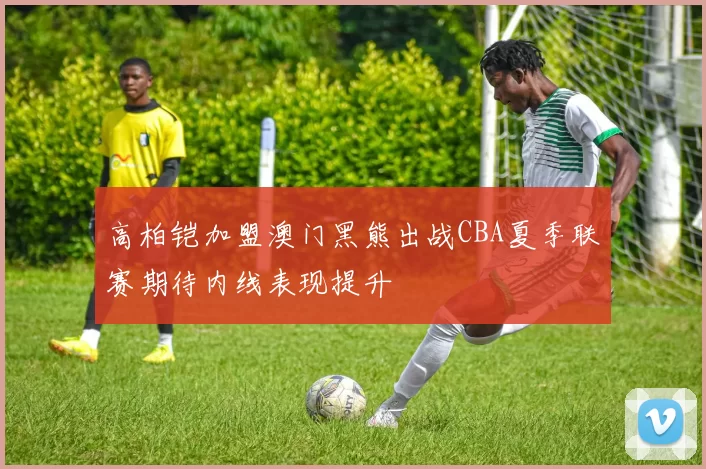 高柏铠加盟澳门黑熊出战CBA夏季联赛期待内线表现提升