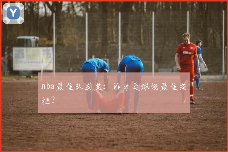 nba最佳队友奖：谁才是球场最佳搭档？