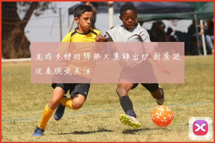克内克特对阵热火集锦出炉 新秀进攻表现受关注