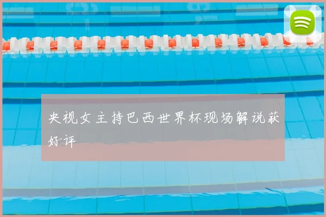 央视女主持巴西世界杯现场解说获好评