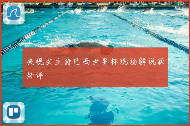 央视女主持巴西世界杯现场解说获好评