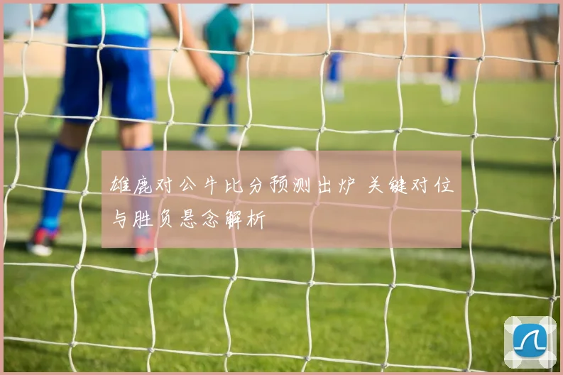 雄鹿对公牛比分预测出炉 关键对位与胜负悬念解析